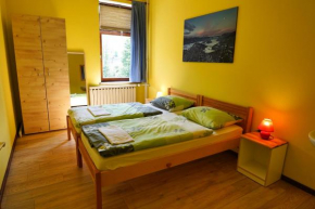 House Budkovič Bohinjska Bistrica